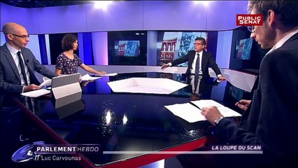 Luc Carvounas : La loupe du scan