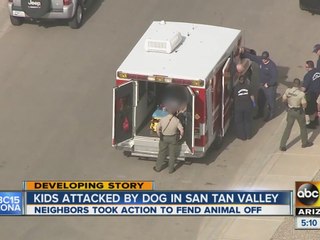 Kids attacked by dog in San Tan Valley