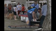 PE: Paulista inaugura centro de treinamento para cães-guia