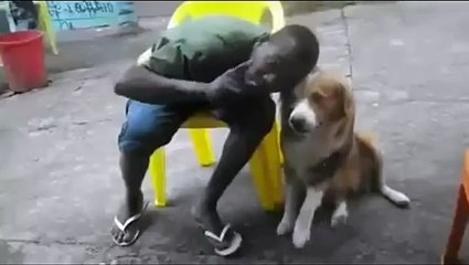 Why You Shouldn't Put Your Face Near a Dog You Don't Know-Funy Videos Clips-Fun & Entertainment Videos Follow Us!!!!