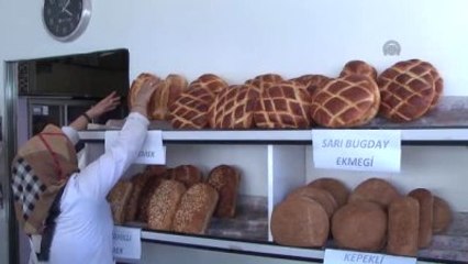 Türkiye'de Gdo'lu Buğday Yok"