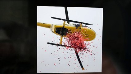 Services Offerd By Ahmedabad Aviation Aeronautics Ltd