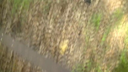 Man Helps Baby Robin Find Tasty Worms