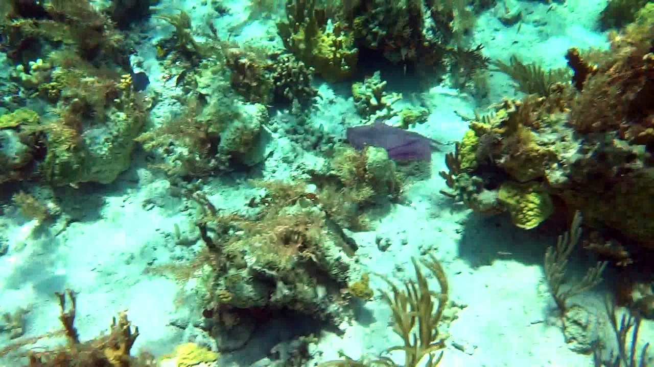 BAHAMAS TRIP 2016