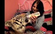 TEEN SLEEPING WITH TIGER