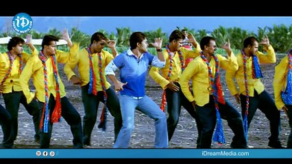 Sarrainodu Movie Collections - Allu Arjun || Rakul Preet || Boyapati Srinu || Catherine Tresa