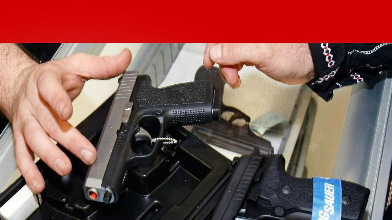 Want To Buy A New Gun?