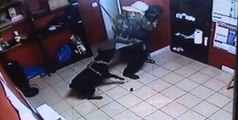 Rottweiler helps owner to disarm robber of a Jewelry Store !