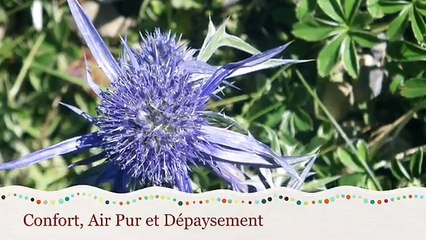 Location Luz Saint Sauveur