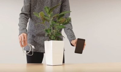 Now Charge your Phone with Plant...Amazing