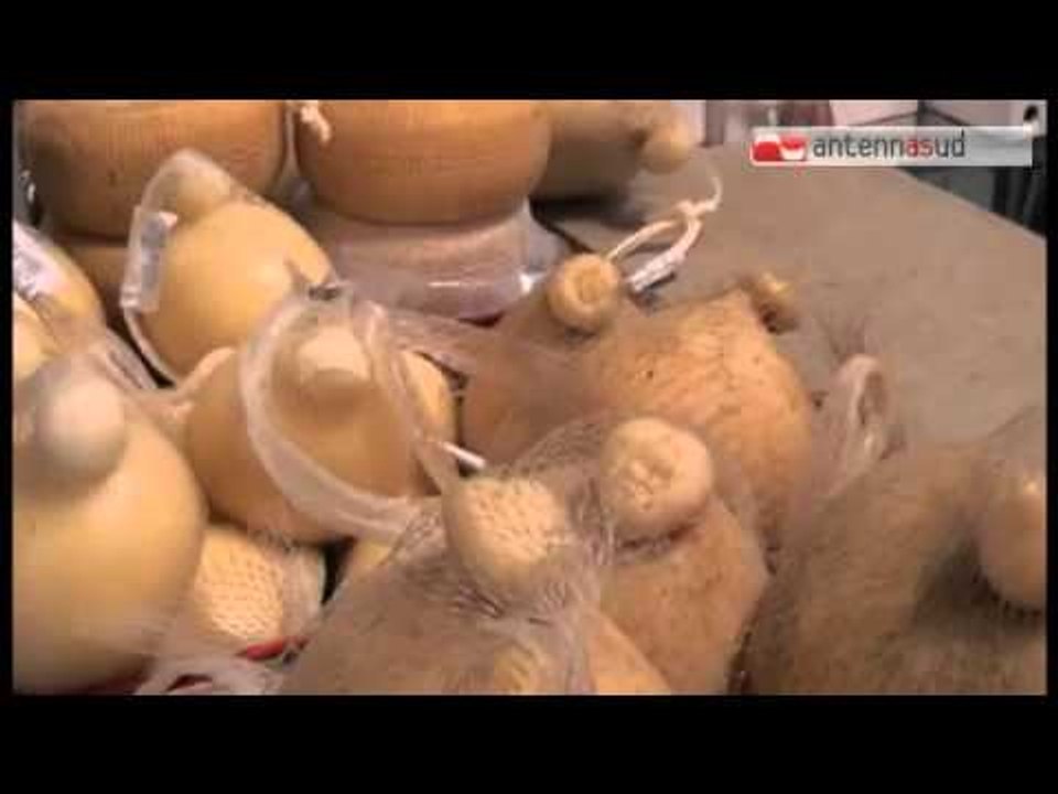 Tg Antenna Sud - Emiliano inaugura la Fiera di Foggia