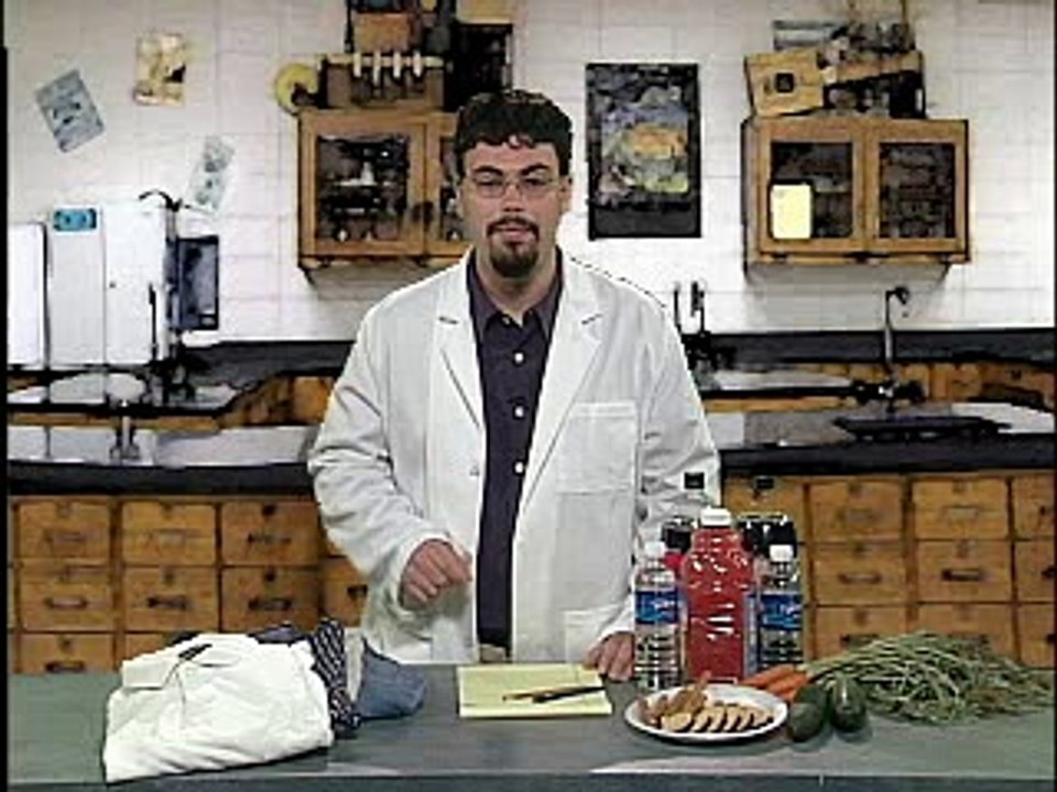 Chemical and Physical Changes