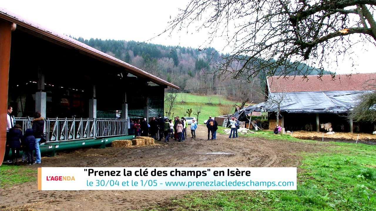 L'AGENDA  - 29 AVRIL 2016