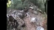 REAL ALIEN Caught in the Woods - Real Grey Footage - UFO ET Reptilian