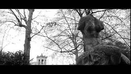 Green Money - Petit à Petit (Clip Officiel)
