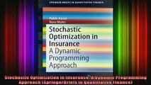 READ book  Stochastic Optimization in Insurance A Dynamic Programming Approach SpringerBriefs in Full Ebook Online Free