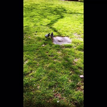 every story has an ending . but in life , every ending is a new beginning