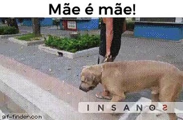 mãe é mãe
