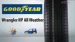 3D-обзор шины Goodyear Wrangler HP All Weather - 4 точки. Шины и диски 4точки - Wheels & Tyres