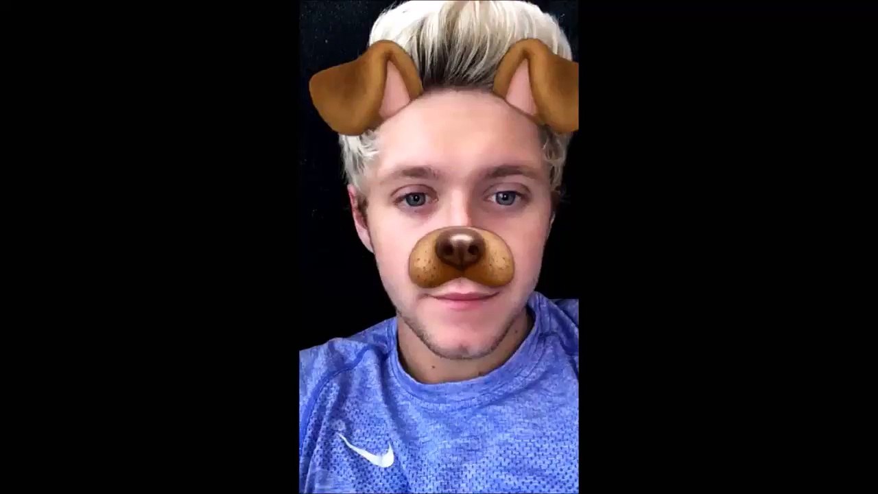 Niall the cute dog