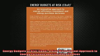 FREE EBOOK ONLINE  Energy Budgets at Risk EBaR A Risk Management Approach to Energy Purchase and Full Free