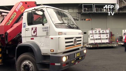 تم نقل 33 أسدا من البيرو الى جنوب افريقيا