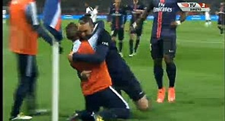Zlatan Ibrahimović Goal HD - PSG 2-0 Rennes - 29-04-2016