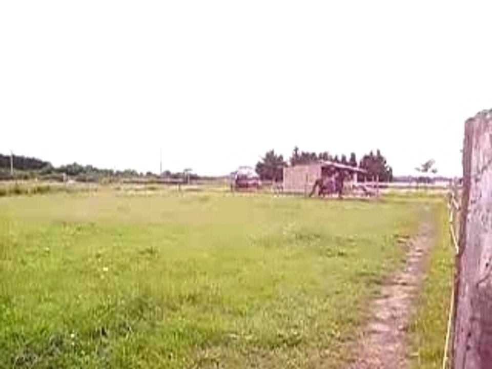 Nuristane