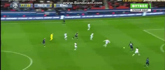Ibrahimovic GOAAAL - PSG 3-0 Rennes 29-04-2016
