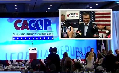 Ted Cruz on Trump protests