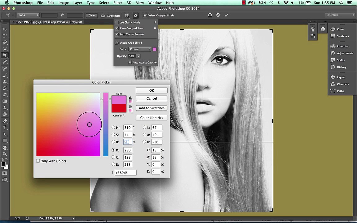 013 Crop Tool