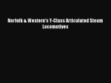 [Read Book] Norfolk & Western's Y-Class Articulated Steam Locomotives  EBook