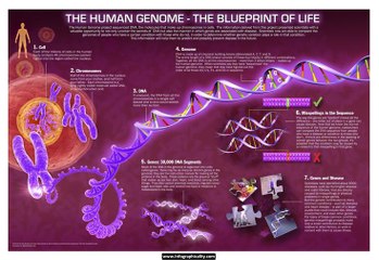 The genetic changes that may occurs during cancer formation