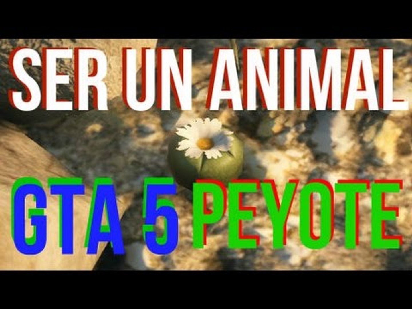 GTA 5 - Trucos: Como ser un Animal comiendo Peyote - Coleccionables (PS4,  XB1, PC) - Vídeo Dailymotion
