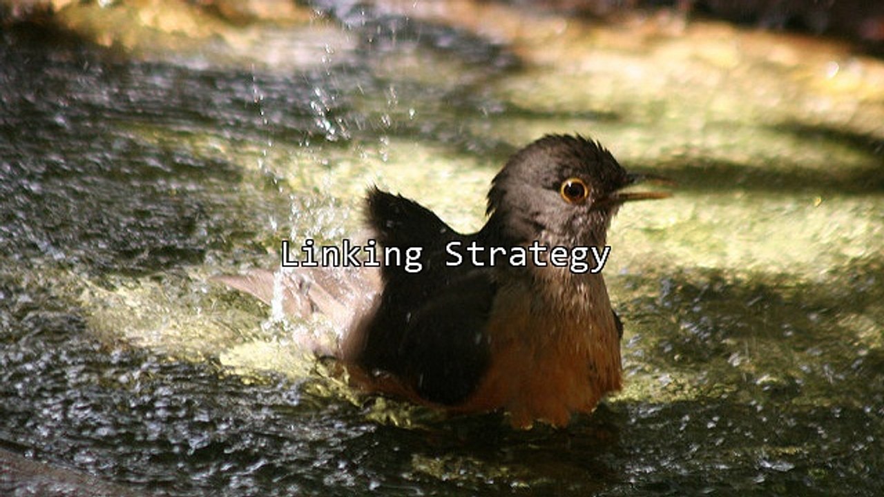 More Best Practices For Search Engine Domination