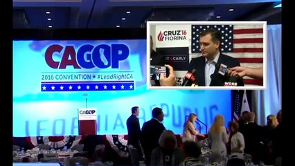 Ted Cruz Answers Question About Anti-Trump Protests