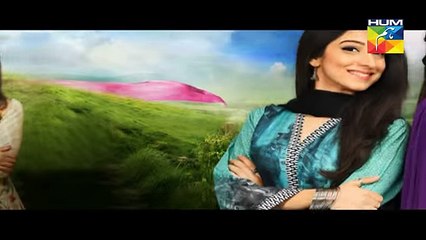 Haya Ke Daman Mein Episode 24 Promo Hum TV Drama 29 April 2016