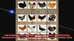 READ book  The Concise Encyclopedia of Poultry Breeds An Illustrated Directory Of Over 100 Chickens  FREE BOOOK ONLINE