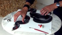 3D Drawing of a Lifelike Snake ¦ 3D Painting Optical Illusion!