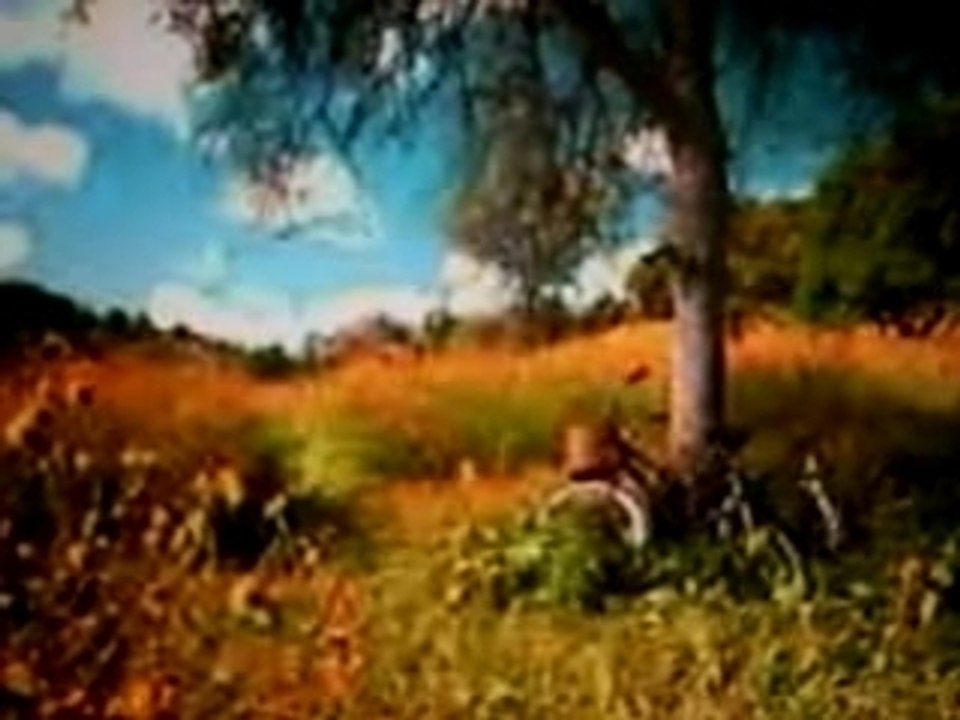 regarde au fond en face