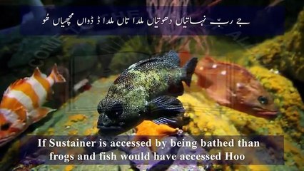 Jay Rab Milda Nahtyan Tohtyan, Kalaam Abyat Hazrat Sakhi Sultan Bahoo RA