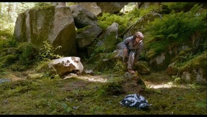 Bande annonce L'Aigle et l'Enfant VF