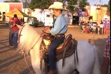 The Bull that Killed One Hundred Horses