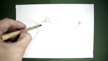 【HOW TO DRAW-描き方】「ハンミョウ（Tiger beetle ）」 を墨でデッサン。水墨画的即興イラスト。