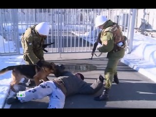 Военная программа "Смотр" от 30.04.2016 г. www.voenvideo.ru
