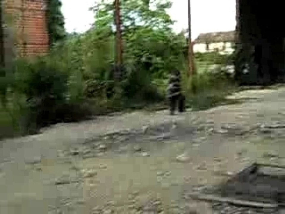 Ara