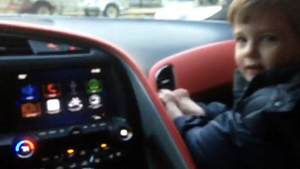 3 Year Old Stingray Expert