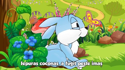 Iepuras coconas - TraLaLa