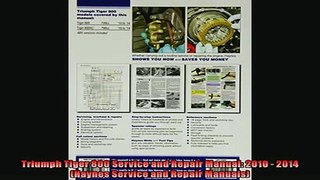 READ book  Triumph Tiger 800 Service and Repair Manual 2010  2014 Haynes Service and Repair  FREE BOOOK ONLINE