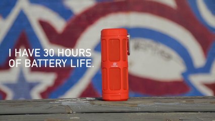 Celtic Blu TallBoy Portable Bluetooth 4.0 Speaker Demo NEW Release 2016